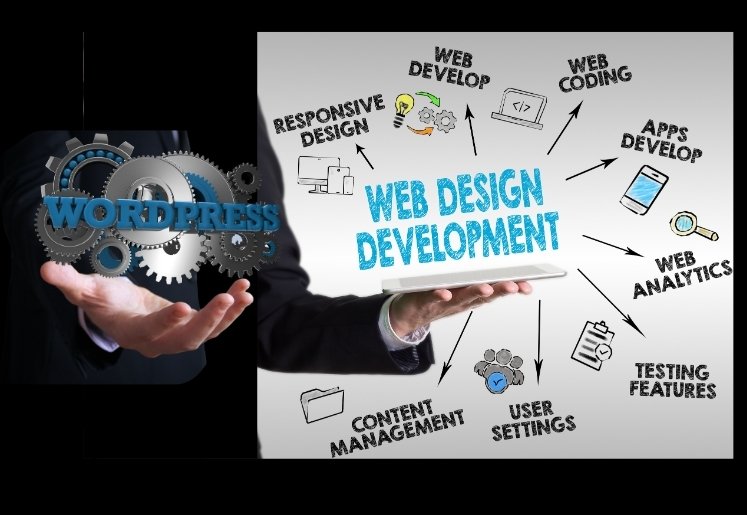 Professional Web Design and Development Service